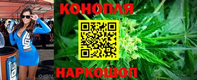 крисы Сланцы