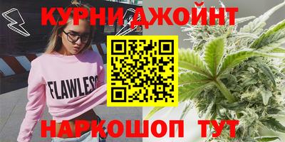крисы Сланцы